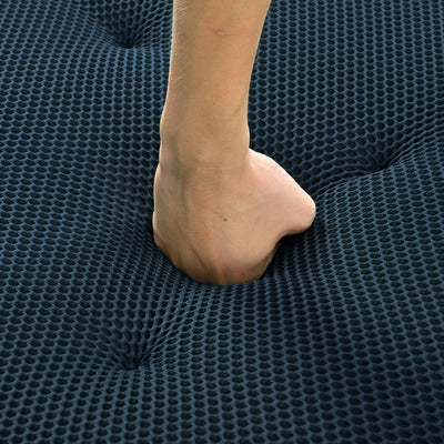 20747427