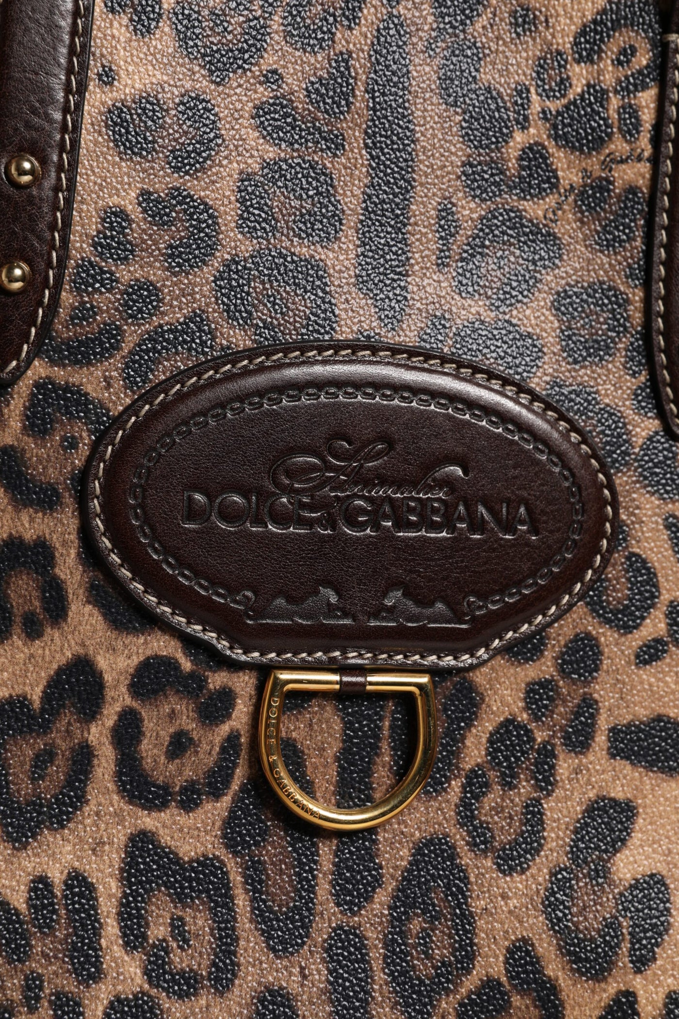 Dolce & Gabbana Brown Leopard Leather Shoulder Strap Tote Bag