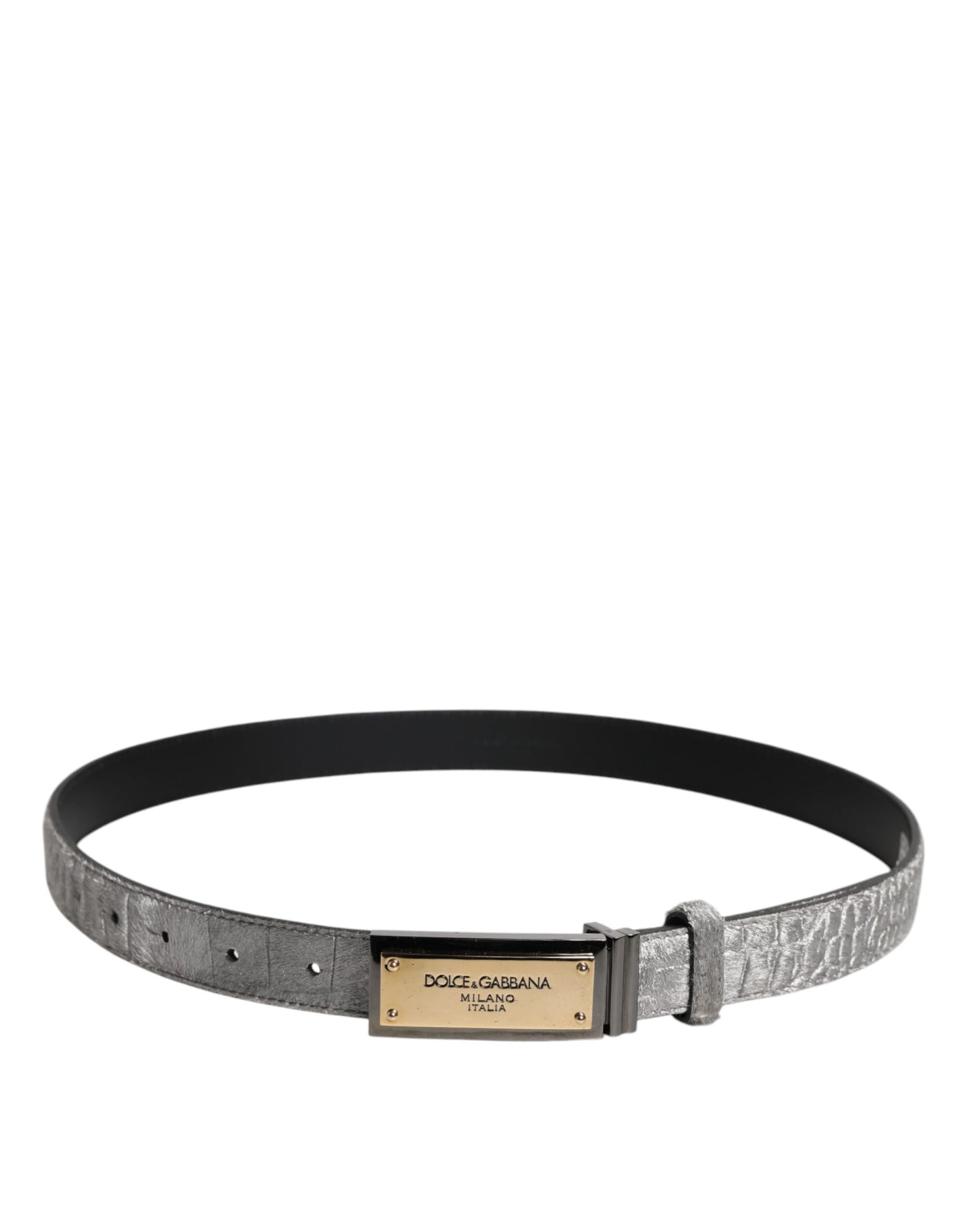 Dolce & Gabbana Silver Classic Gold Logo Plaque Buckle Belt