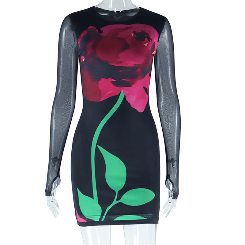 Women Clothing Dress Print round Neck Mesh Long Sleeve Narrow Pullover Dress