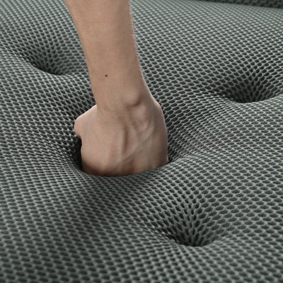 20749900