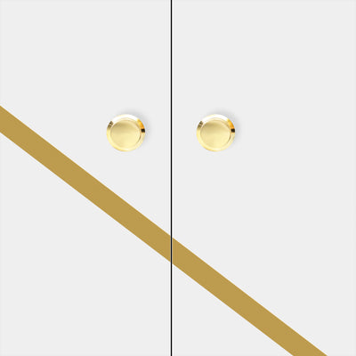 20787748