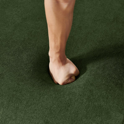 20738529