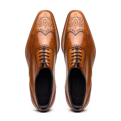 25-562-CML STEPHANO Wingtip Oxford Camel